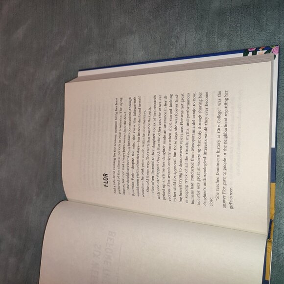 Book Family Lore Elizabeth Acevedo Novel Bestseller Dominican Americans Fiction - Picture 6 of 8